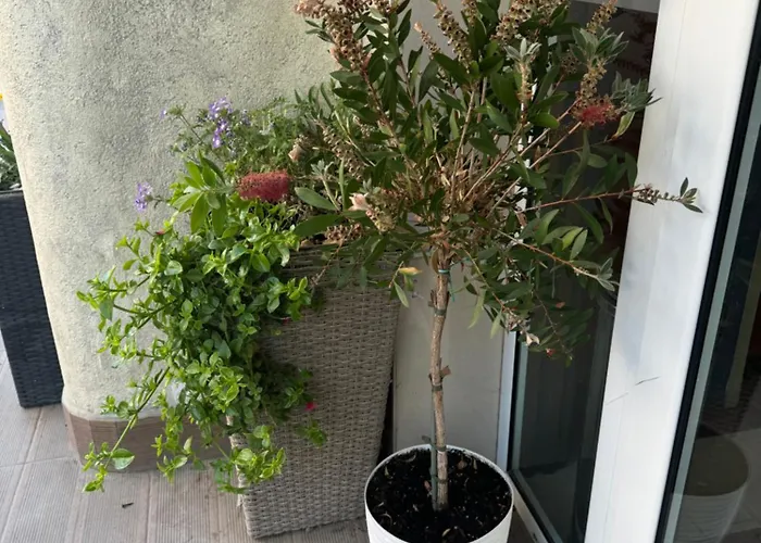 Appartamento At Sunny Sunny Beach